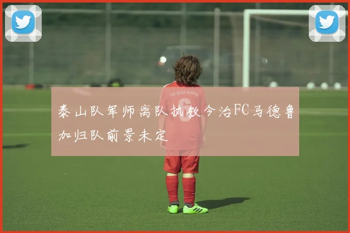 泰山队军师离队执教今治FC马德鲁加归队前景未定